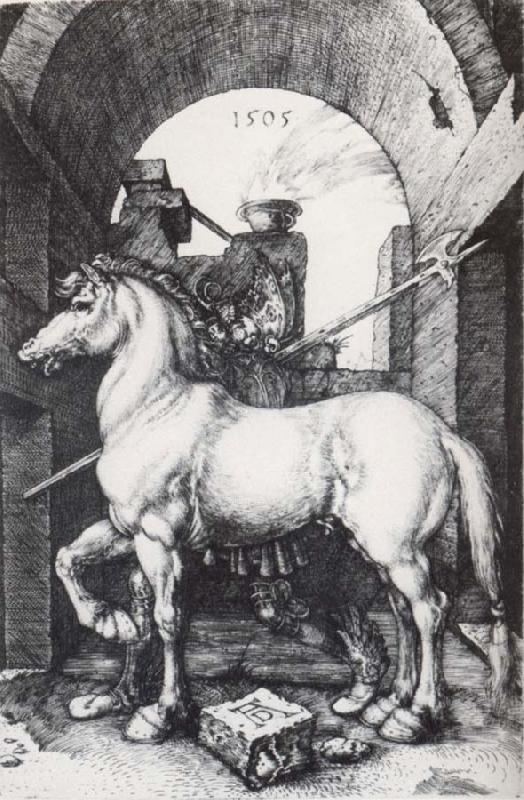 Albrecht Durer The Small Horse